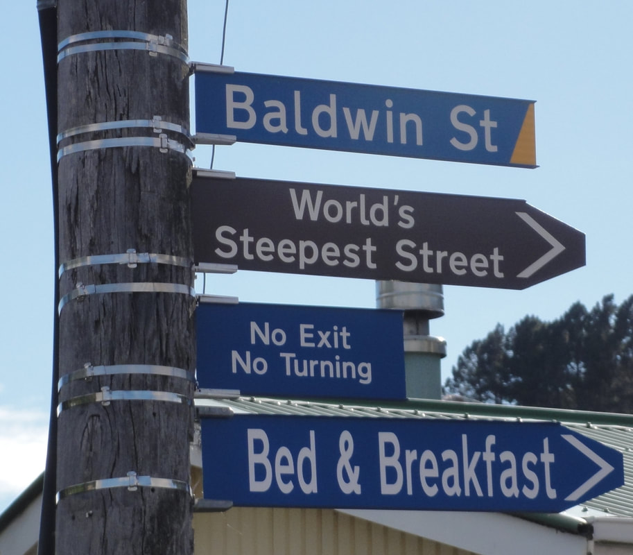 baldwin street dunedin consent